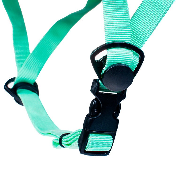 Casco para patinaje Blazer Pro Unisex