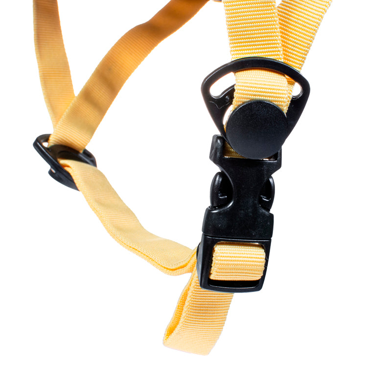 Casco para patinaje Blazer Pro Unisex